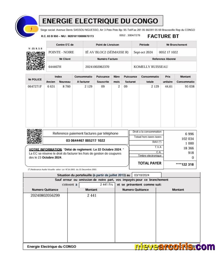 Congo Energie Electrique Du utility bill